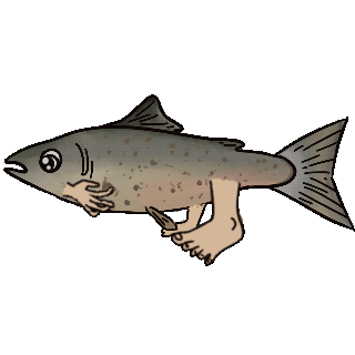 Aelvin Stage Salmon Ella jumping enthusiastically